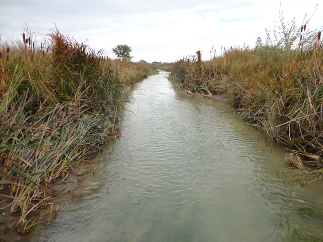 Farm groups fear the waters of the U.S. rule gives EPA authority to regulate tributaries, streams and other intermittent water bodies on farms and ranches. (DTN/The Progressive Farmer file photo by Jim Patrico)